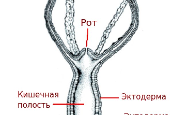 Kraken что это такое