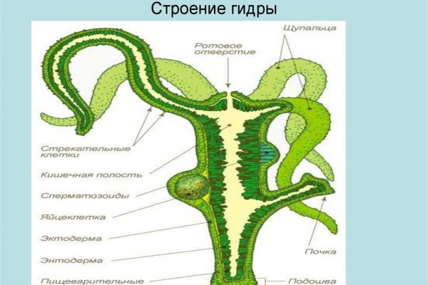 Кракен вход на сайт